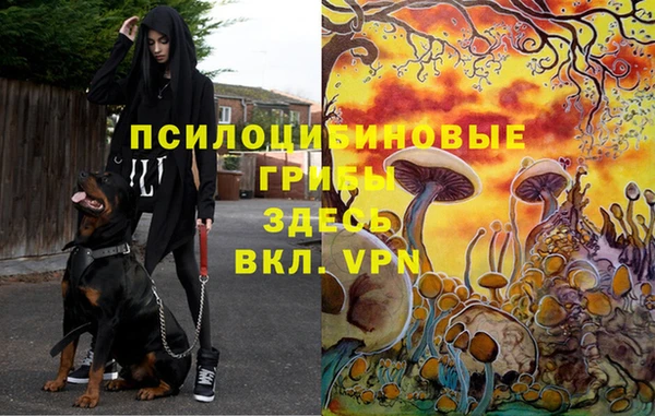 амфетамин Баксан