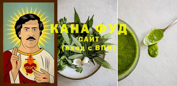 гидра Инта