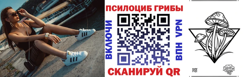Галлюциногенные грибы MAGIC MUSHROOMS  сколько стоит  Спас-Клепики 