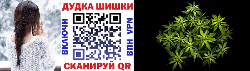Бошки Шишки THC 21%  купить наркоту  Спас-Клепики 